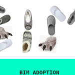 “BIM ADOPTION ” Nova reunión do grupo de usuarios BIM de Galicia na ETSAC