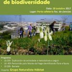 Bioblitz: descuberta de biodiversidade no Monte da Fraga. OMA