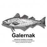 GALERNAK. Festival de cine de arquitectura do Atlántico