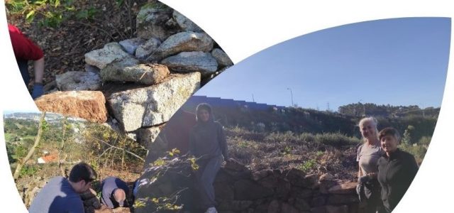 Xornada para a reparación de valados de pedra seca no Monte da Fraga