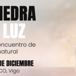 Xornada sobre o presente e o futuro da pedra natural en Vigo