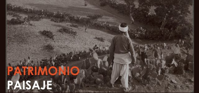 Exposición GAZA. A opresión a través da negación do hábitat