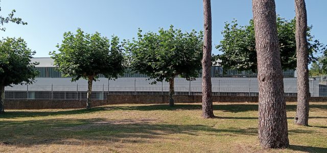 Conferencia de Samuel Folgueral