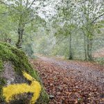 Concurso de ideas: Pedra e Camiño. Arquitecturas mínimas para o Camiño de Santiago