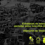 Curso de verán sobre estratexias de rexeneración de vilas asoladas polos incendios